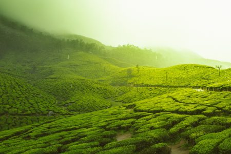 Ooty & Kodaikanal Family Tour Package From Chennai