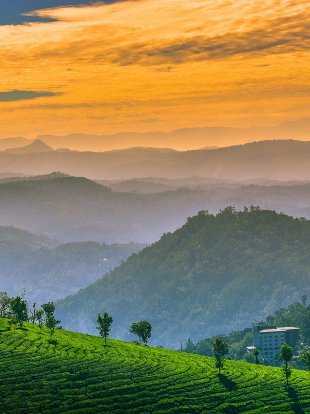 Discover Munnar: A Haven of Peace Over 3 Days